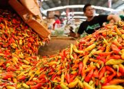 Dipicu El Nino, Harga Cabai Melonjak Jelang Akhir Tahun