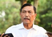 Thomas Lembong Dinilai Gagal Selesaikan Tugas OSS, Luhut Bilang Begini