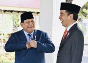 Dukung RAPBN 2025, Jokowi Siapkan Program Unggulan