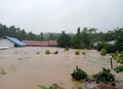 Banjir Bandang dan Tanah Longsor di Luwu Merenggut 14 Jiwa