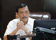 Soal Hilirisasi Rumput Laut Masuk PSN, Luhut Ngaku Sudah Sampaikan ke Prabowo