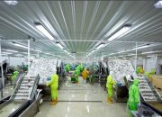 Rights Issue, Emiten Kaesang Pangarep Tawarkan Saham Baru Segini