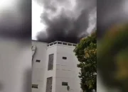 Gedung Perkantoran The Food Hall di Jakarta Barat Dilanda Kebakaran