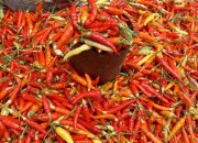 Harga Cabai Rawit Merah Pimpin Kenaikan Harga Pangan