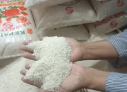 Stok Beras PIBC Berjumlah 47.872 Ton, Harga Beras Naik