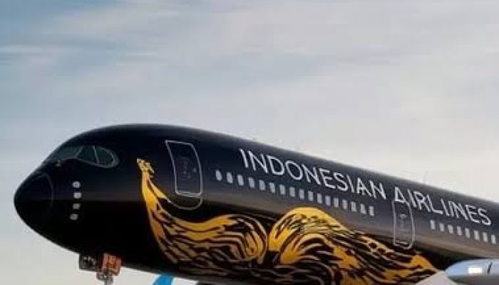 Indonesia Airlines Belum Bisa Beroperasi di Indonesia karena Belum Kantongi Izin